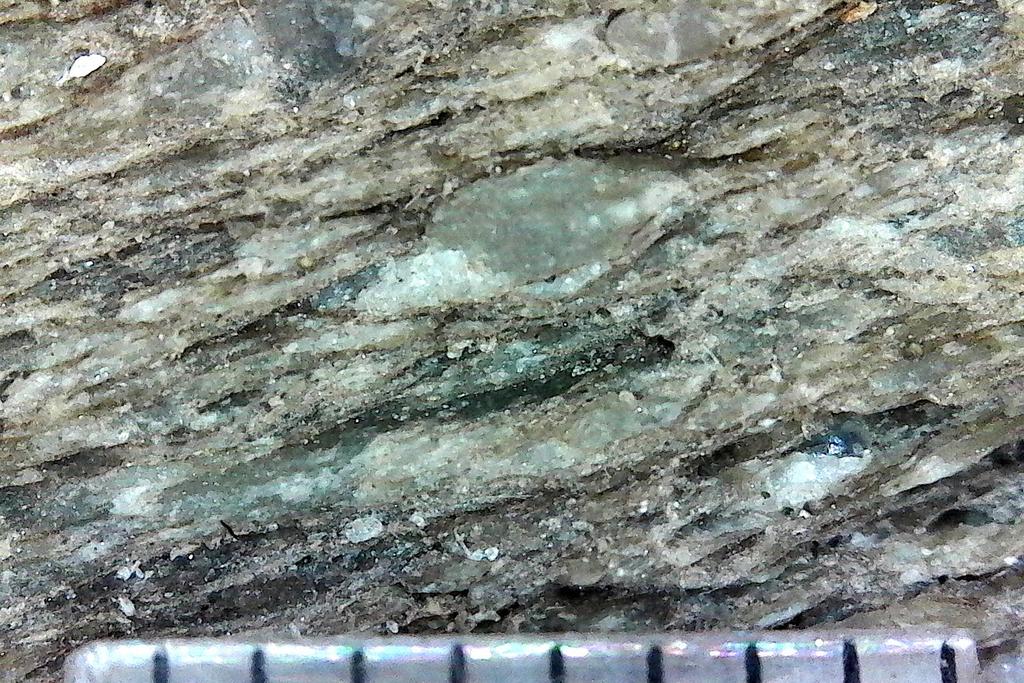 Sala Okulärt ses provet från kvarnstensbrotten norr om Springargruvorna i Sala (prov Sala) vara en finkornig bergart med större strökorn samt ha en ljust grå-grön yta och i övrigt vara tydligt