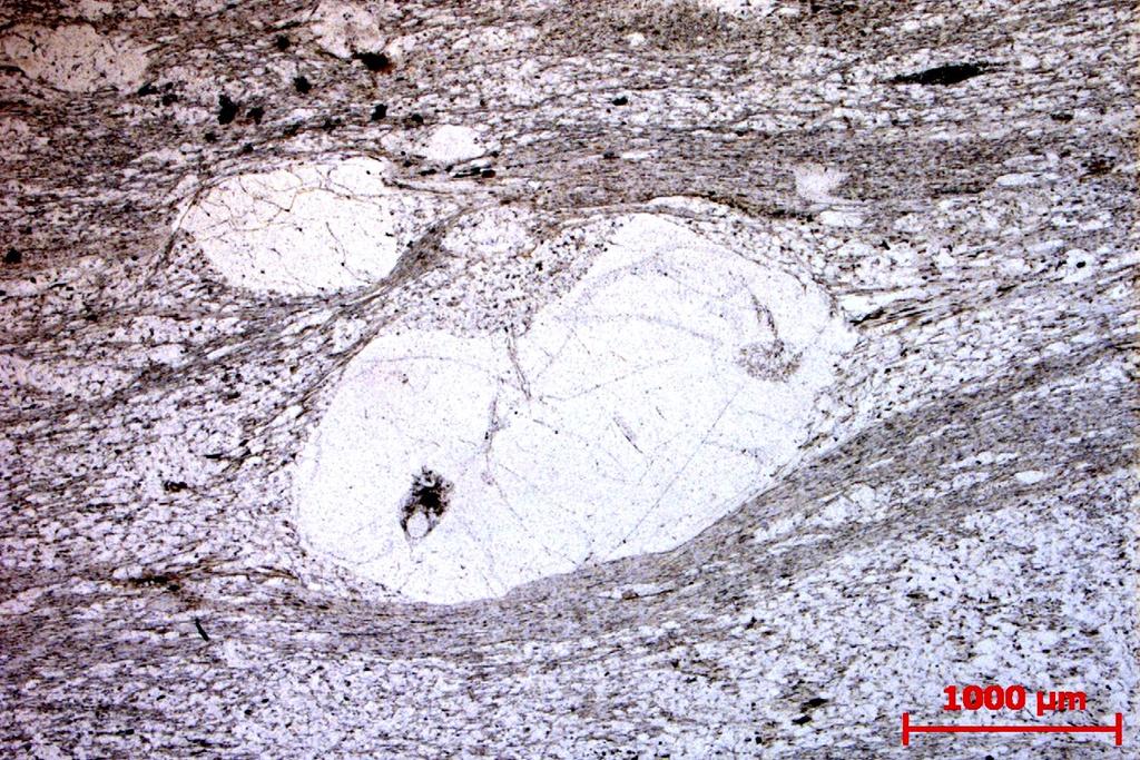 Foto från mikroskop. Figur 40. Samma utsnitt som fig.