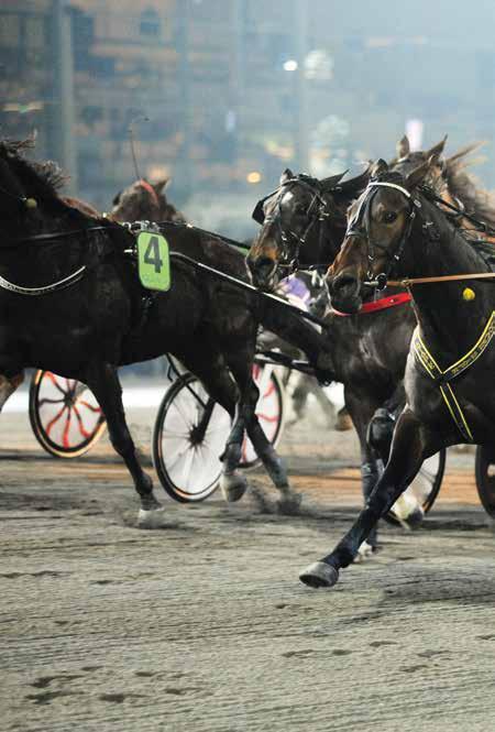 HÅLLTIDE Vi använder startil med vinklad vinge i samtliga lopp med autostart.