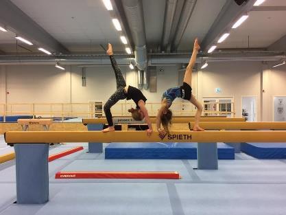 54 gymnaster från Norrbotten, allt från nybörjare på steg 1-nivå till mer rutinerade steg 5gymnaster, samlades i Älvsbyvärket för mycket träning men även en dos dans.
