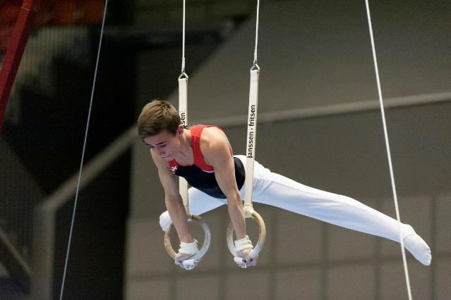 Övriga gymnaster gjorde mycket goda insatser och har med sig erfarenheter hem som gör att de utvecklas både som gymnaster och människor. Lulegymnasternas deltagare i Ettan, Tvåan och Trean. Fr.