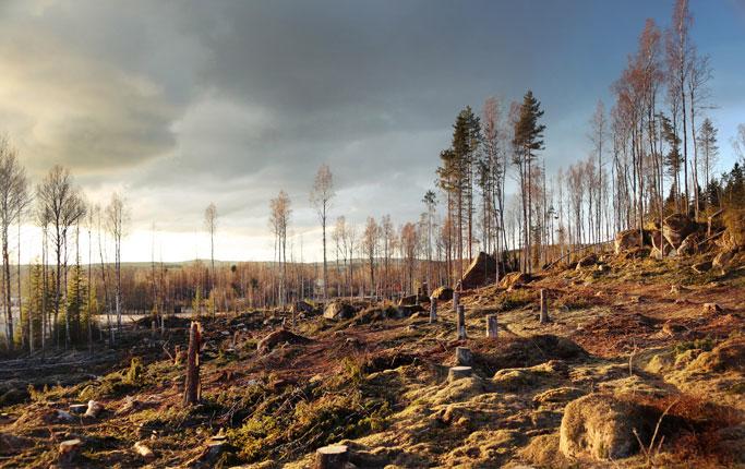 Habitat i en biotop Habitat - Livsmiljöer - en plats i naturen där en art kan leva för att det finns ekologiska förutsättningar för arten att överleva där.