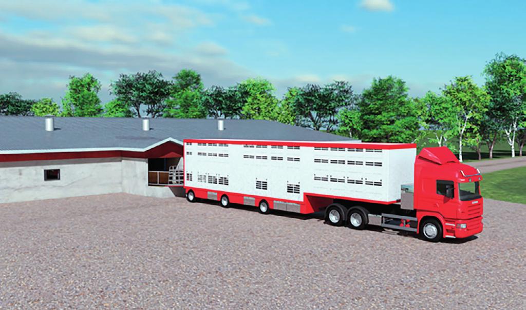 Exempel på utlastningsförfarande Utlastningsavdelning En utlastningsavdelning innebär en separat avdelning med boxar som fylls med de grisar som ska levereras.