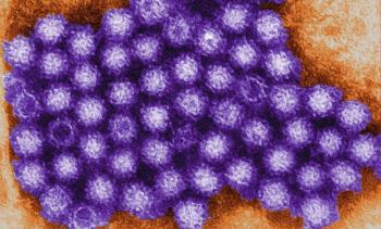 Global förekomst av hepatit E Diarré,