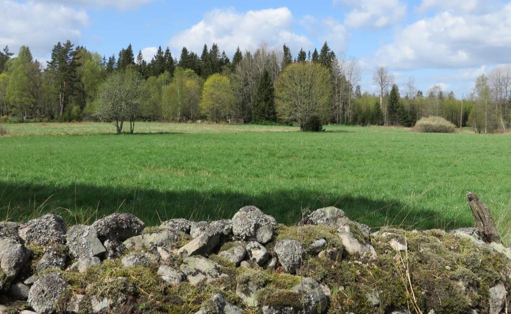 Åkermarken norr om bykärnan har samma form och