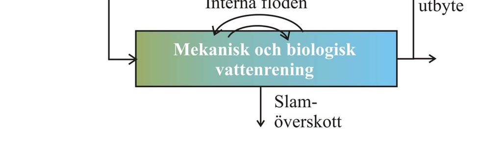 (16) Fodret påverkar fisken påverkar