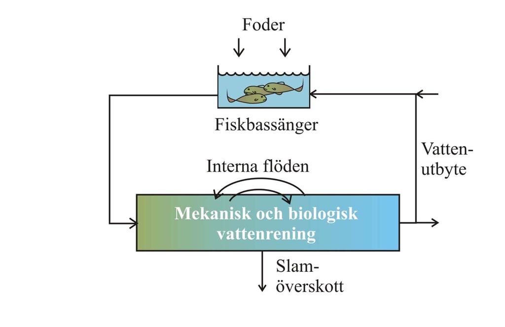 Landbaserat recirkulerande vattenbruk (4) Utsläpp