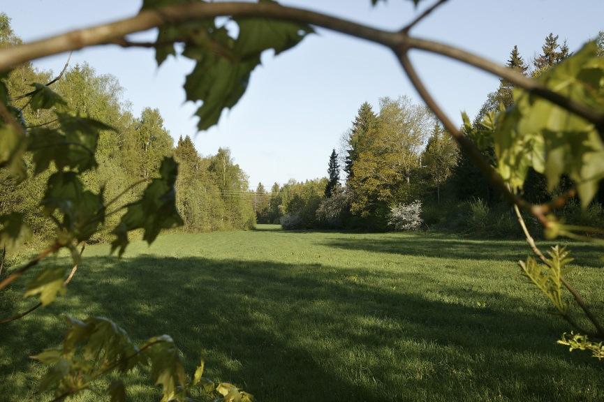 Känslig naturmiljö som kräver hänsyn och åtgärder (anläggningar och verksamhet ovan mark placeras inom industriområdet) Liten