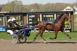 Boka Tandemkörning på HalmstadTravet Följande dagar finns att välja på Oktober Måndag V - HallandsMästaren första start 8.0 Måndag V - Hästägarkannan första start 8.0 November Söndag GS första start.