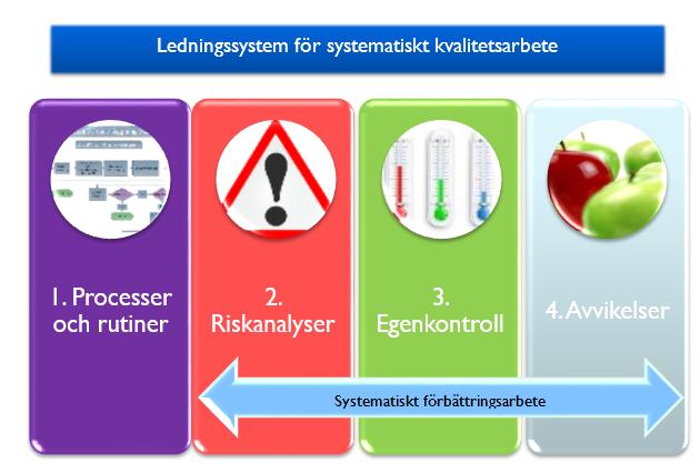 Dnr 2017-43 3(17) INLEDNING Lagens krav på systematiskt kvalitetsarbete Enligt Socialtjänstlagen 3 kap 3 ska insatser inom socialtjänsten vara av god kvalitet.