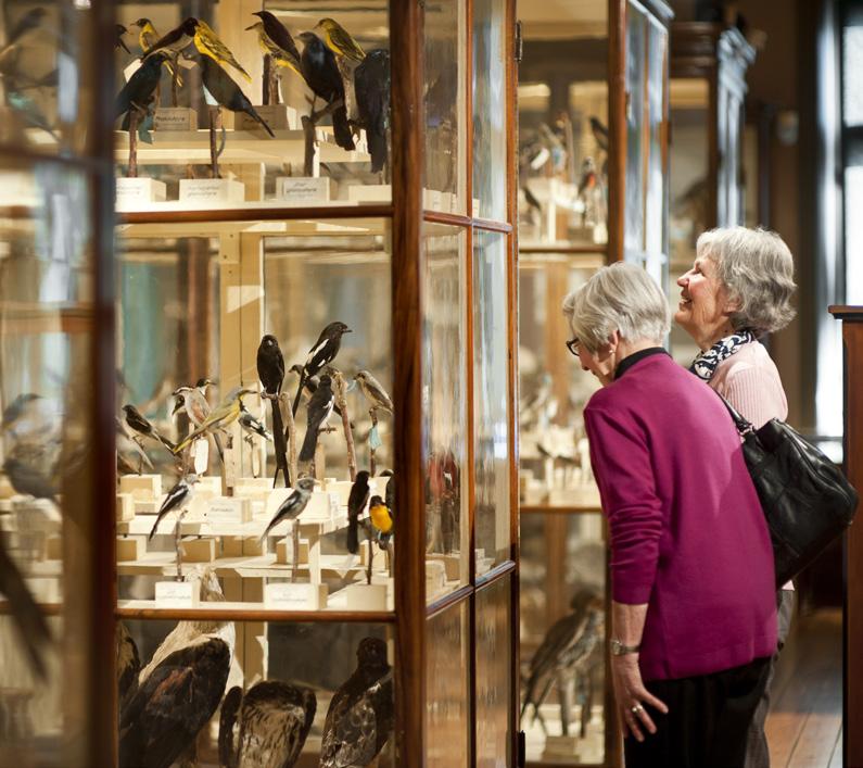 UTSTÄLLNINGAR DET UNDERBARA HUSET Vänersborgs museums historia sträcker sig över 150 år tillbaka i tiden och över stora delar av världen i rummet.