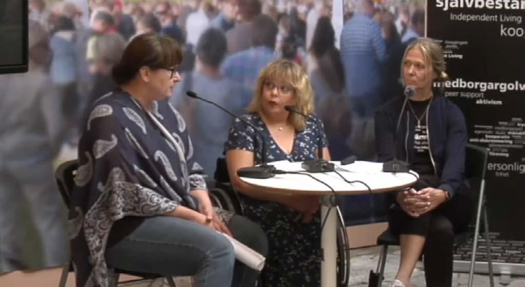 Susanne Berg, chef för STILs politiska avdelning, STIL Ulla Brandén, socionom och aktivistveteran Finn Hellman, frilansjournalist och föreläsare Barbro Westerholm, riksdagsledamot, Liberalerna Jonas