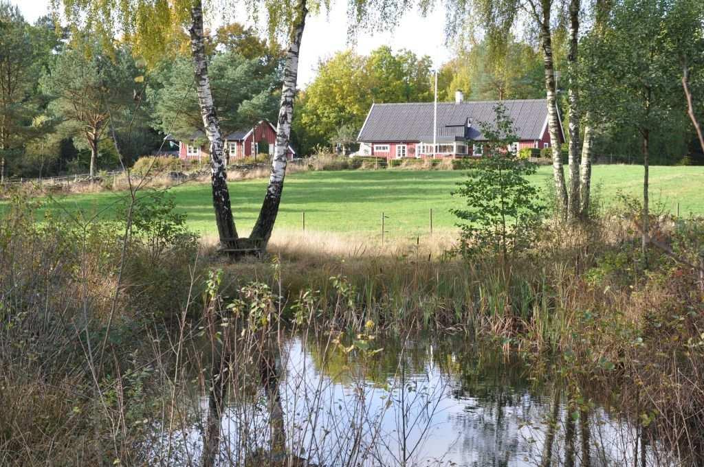 Gott om förrådsutrymmen samt egen verkstad. Marken innefattar två hagar och kräftdamm. Perfekt för den som vill ha ett lugnt läge i Mellanskåne!