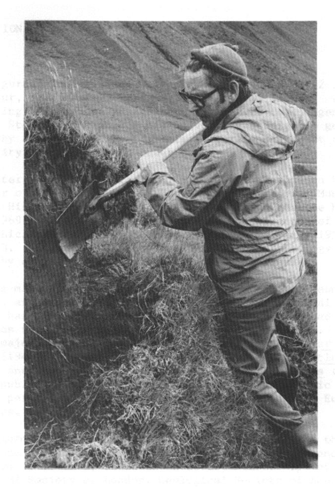 Sigurdur Thorarinsson (1912-1983) Isländsk geolog mm, den
