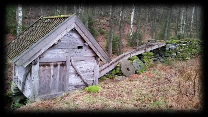 Tänkt upplägg för jobb via Skogsstyrelsen Moderna beredskapsjobb På vissa håll arbetsmarknadspolitiska projekt (AF går in med projektmedel) vilket ger finansiering