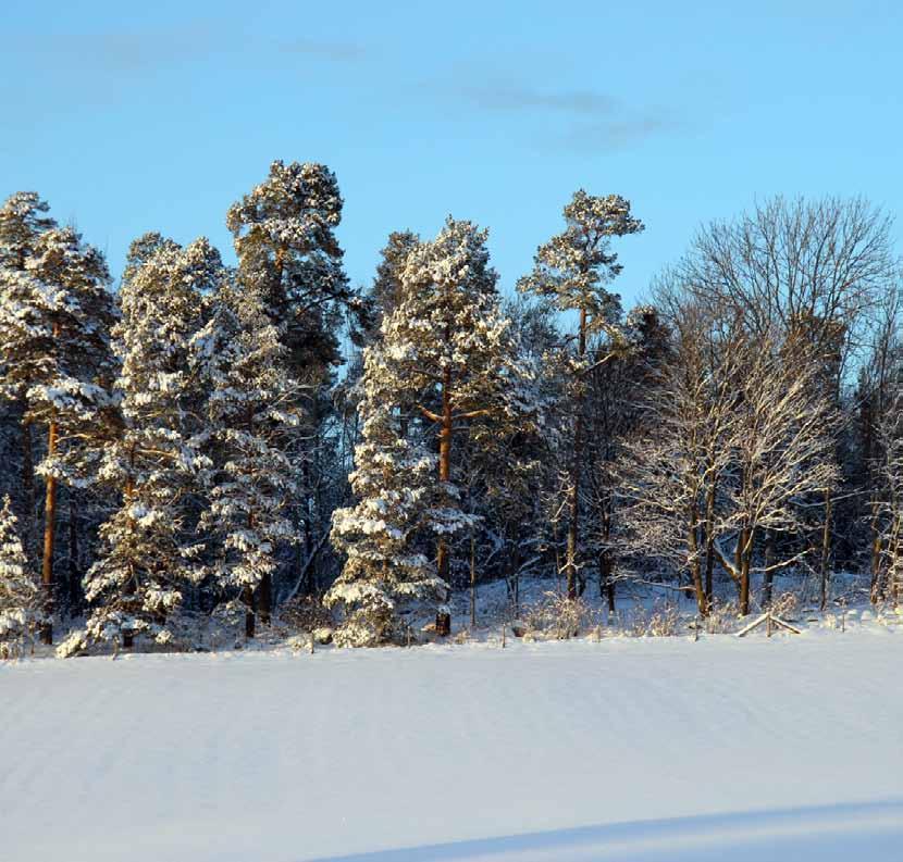 Lantmännen är en av Nordens största koncerner inom lantbruk, maskin, energi och livsmedel. Exempel på Lantmännens varumärken är AXA, Kungsörnen, Kronfågel, GoGreen, Hatting och Gooh.