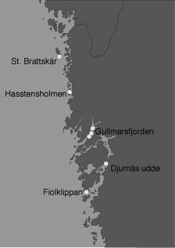 Jämförelse av resultat b. Provtagningsmodell Antal djupstrata? } Alla variabler och alla typer av hypoteser visar signifikanta mönster } Split-plot och modell A väldigt lika.