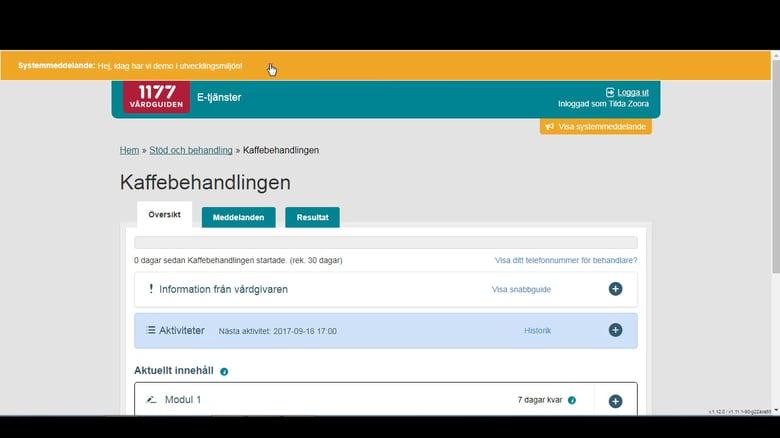 för utveckling och implementering av behandlingsinnehåll Kompetens i internetbehandling