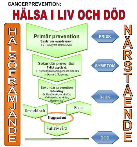 aktörer. Regionledningens och RCCs femte löfte handlar om att hälsofrämjande insatser ska erbjudas ALLA.