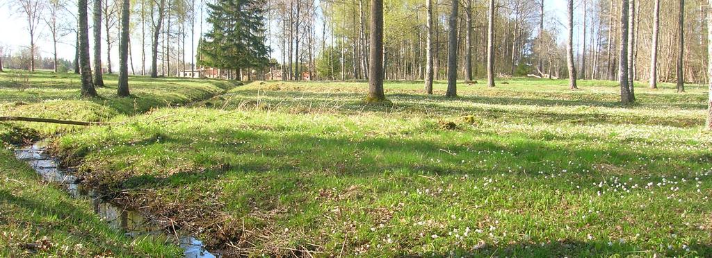 Friluftsliv Till fritidslivet räknas även friluftslivet. Här har Kungsör goda förutsättningar med en fantastisk natur, närheten till Mälaren och fina leder för cykling, vandring, löpning och ridning.