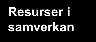 elevers språk-,