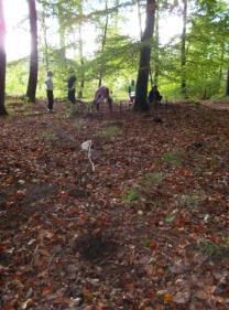 27/9 Gemensam skogsdag Bokskogen Skabersjöbarnen och Linsbobarnen hade en underbar