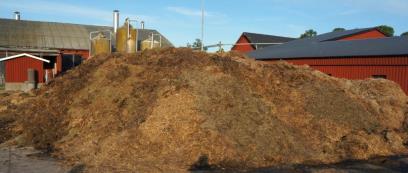 2,5 år tillsammans med Sötåsens naturbruksgymnasium, Hushållningssällskapet, Götene Gårdsgas, AB G. Alexandersson. 60% av biogasen från fastgödseln. Ca 2 ggr mer NH 4 -N efter rötning!