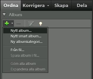 Komma igång med Adobe Premiere Elements 6 Menyn Albumkategori 3 Skriv in ett namn på albumet i rutan Albumnamn. 4 Dra mediefiler till objektområdet.
