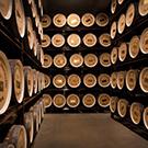 långsiktigt perspektiv. Nära 50 procent av Mackmyras totala mognadslager utgörs av whisky som är fem år eller äldre.