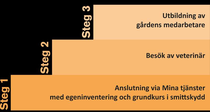 Figur 6. Arbetsgång i Smittsäkrad besättning. Steg 1 Aktiviteterna under steg 1 är webbaserade och kan utföras av djurhållaren själv via inloggning på Min sida på Växa Sveriges webbsida.