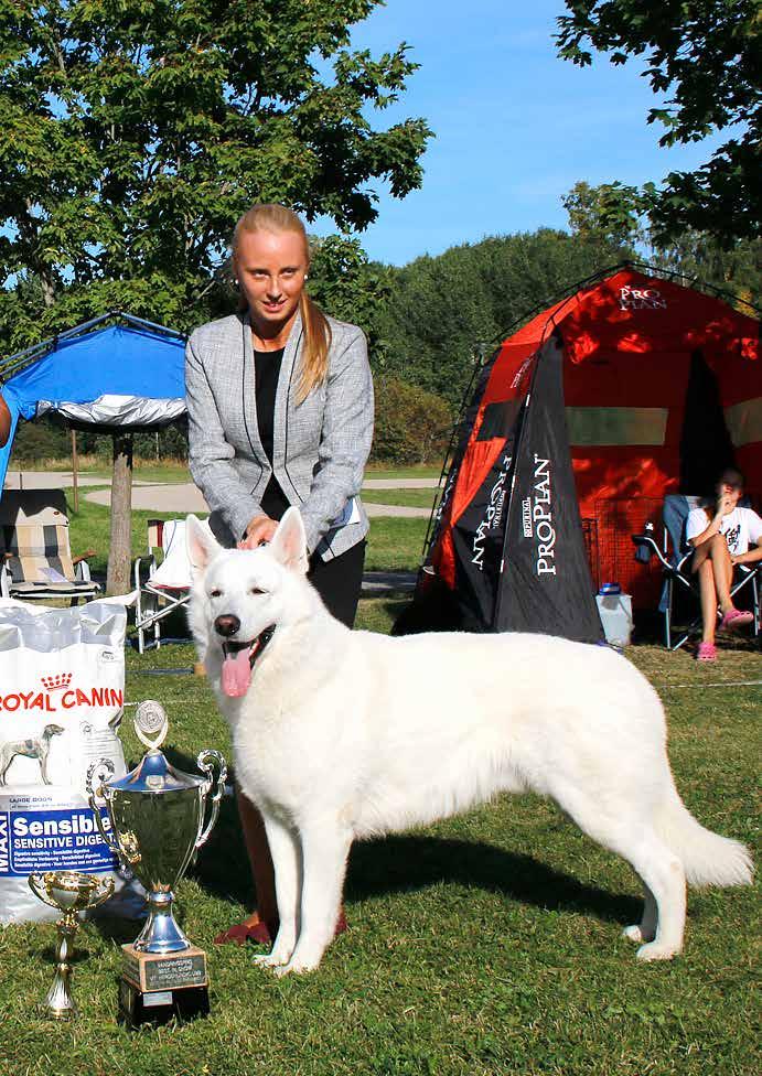 VitaSvepet Nr 2/2015