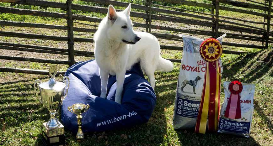 Vi tackar speciellt Royal Canin för sponsringen till vår rasspecial. DIPLOM Mentalbeskrivning Hund (MH) har deltagit vid MH och har nu känd mental status.