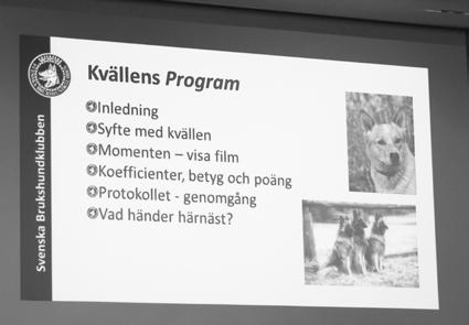 Rapport från Svenska Brukshundklubbens Utskottet Avel och Hälsas konferens för rasklubbar och distrikt den 6 8 november 2015.