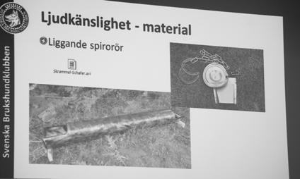 Testen skulle enligt tidigare justeras men det visade sig att det är mer än en justering. Testets användbarhet diskuterades, det påtalades att dagens test slår fel och för många hundar blir godkända.