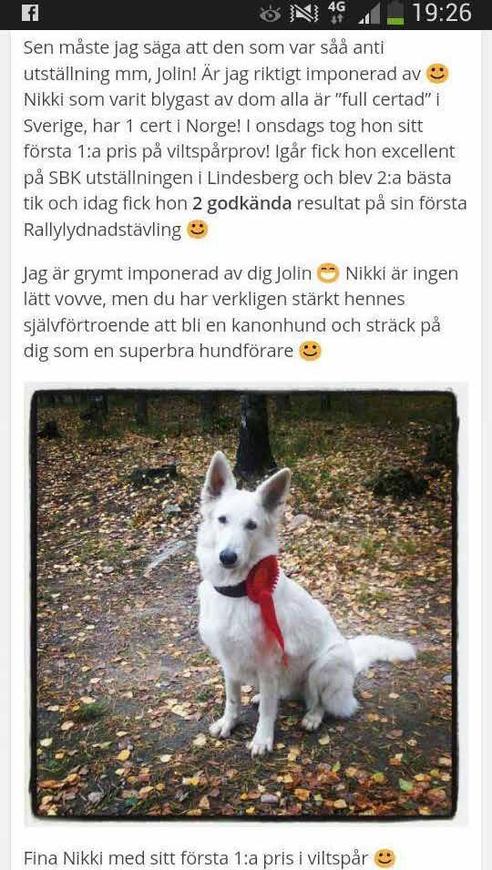 Hur nervös jag än varit på alla utställningar så har jag fortsätt att anmäla. Och tänkt varje gång, varför gör jag detta när jag är så nervös!