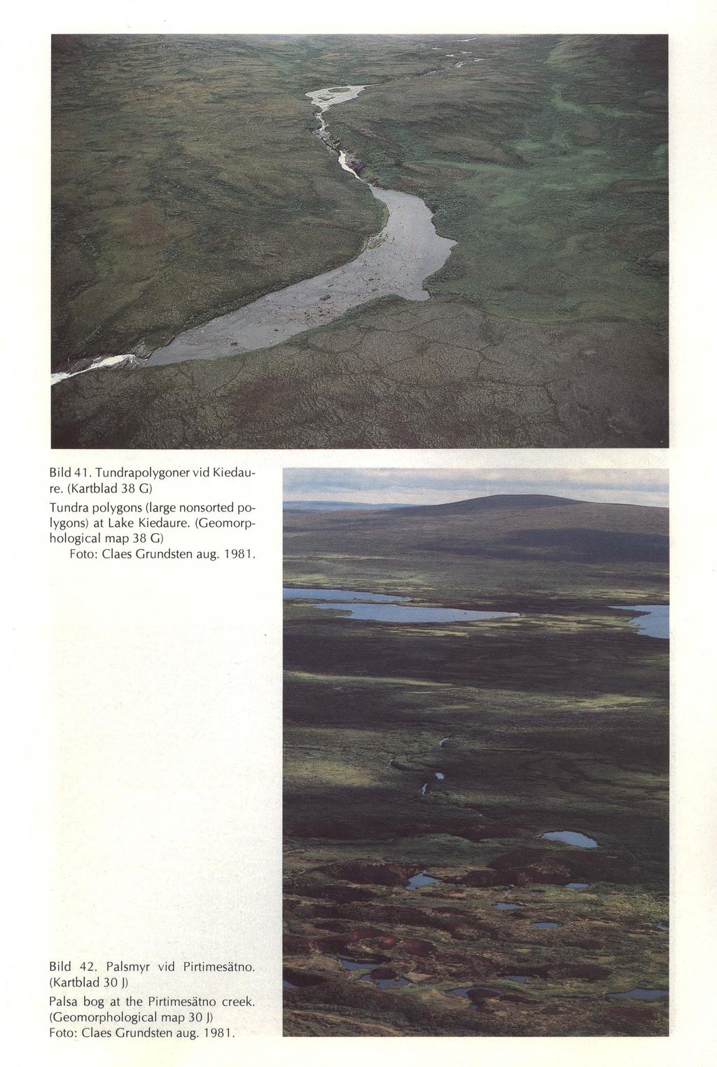 91-38-08003-6: Sidorna 62 till 91. Bild 41. Tundrapolygoner vid Kiedaure. (Kartblad 38 G) Tundra polygons (Iarge nonsorted polygons) at Lake Kiedaure.