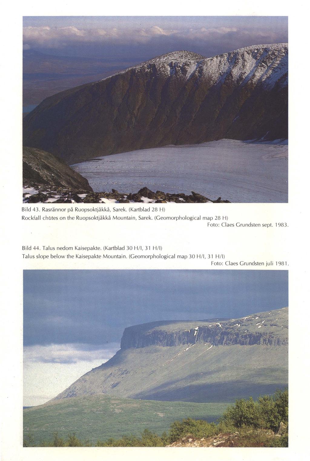 Bild 43. Rasrännor på Ruopsoktjåkkå, Sarek. (Kartblad 28 H) Rockfall chcjtes on the Ruopsoktjåkkå Mountain, Sarek. (Geomorphological map 28 H) Foto: Claes Grundsten sept.