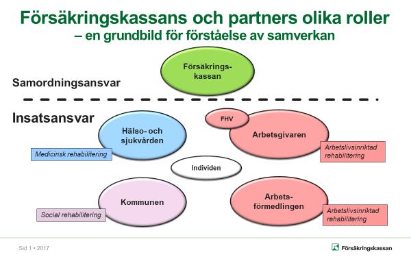 Försäkringskassan ska samverka med andra aktörer men denna samverkan kräver också att de andra aktörerna tar sitt ansvar då Försäkringskassan inte utför några rehabiliterande insatser.