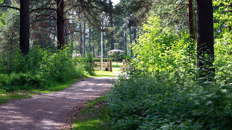 VÄLKOMMEN TILL GÄVLE Varmt välkomna till 2018 års kyrkogårdskongress! Temat för kyrkogårdskongressen 2018 är dåtid, nutid och framtid inom begravningsverksamheten.