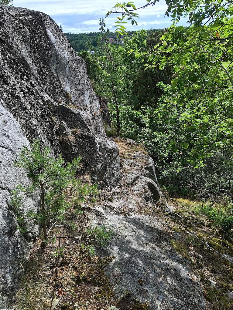 4. Bergbrant Naturvärdesklass: Naturvärdesklass 3 påtagligt naturvärde Dominerande naturtyp: Berg och sten Biotoper: Bergbrant med lodytor, klåva Natura 2000-naturtyp: Beskrivning: Klåva med yngre