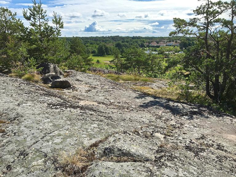 5. Hällmark Naturvärdesklass: Naturvärdesklass 3 påtagligt naturvärde Dominerande naturtyp: Berg och sten Biotoper: Hällmark Natura 2000-naturtyp: Beskrivning: Kuperad hällmark.