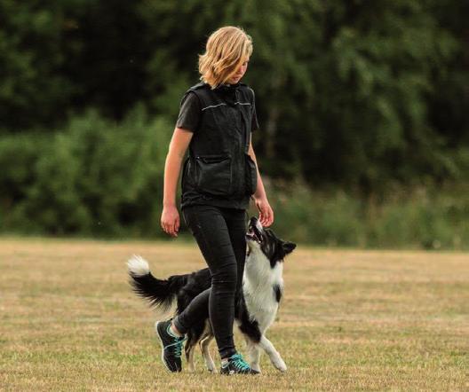 VÄSTERÅS Naturbruksprogram Hund Studieförberedande Denna fördjupning är både yrkes- och studieförberedande och passar dig som älskar hundar.