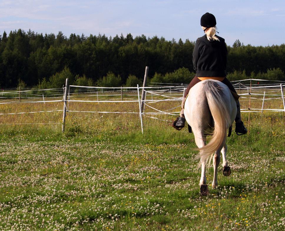 kompetensnivån inom många olika Bodens ridklubb. Travet i Boden kan i framtiden vara områden.