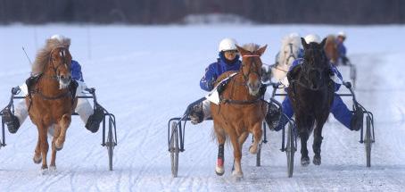 Hästar hör inte hemma i trafiken och bör separeras från biltrafiken helt och hållet för att trafiksituationen ska bedömas säker. skapar en attraktiv miljö. 8.