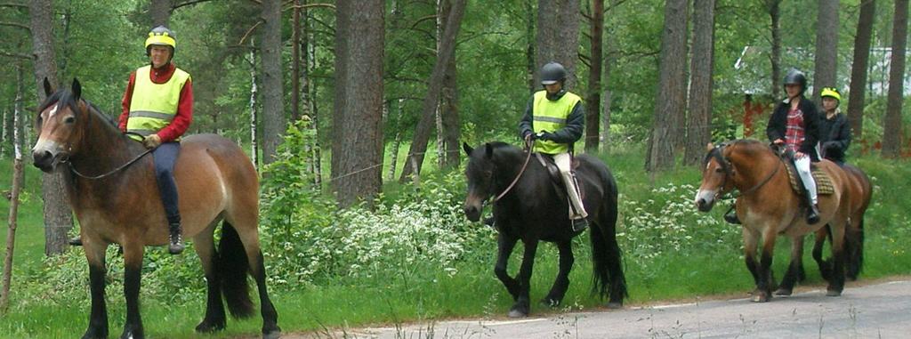 SOCIAL BETYDELSE Integration och mångfald Att utveckla hästnäringen kan skapa förutsättningar för människor med olika bakgrund att mötas och komma i kontakt med det svenska samhället.