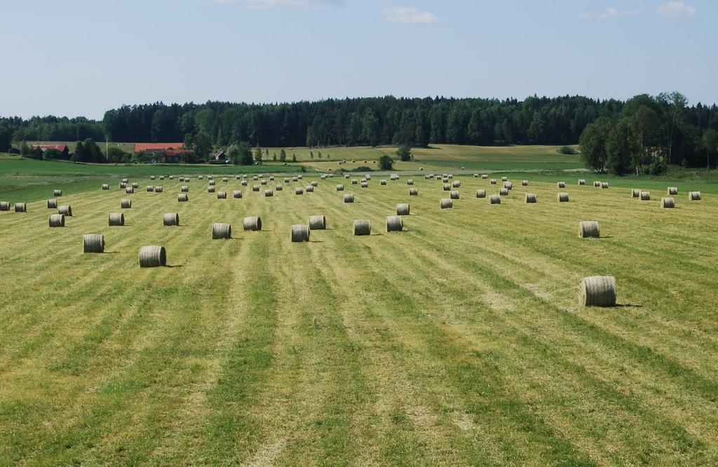 EKOLOGISK BETYDELSE Hästen är ett viktigt betesdjur för att hålla markerna och landskapet öppet.