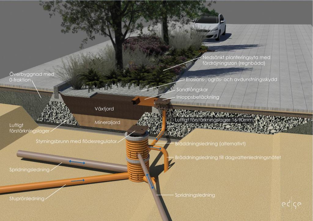 Genom att låta vegetationens rötter utvecklas från växtbädden ut i det luftiga förstärkningslagret skapas en högre biologisk aktivitet vilket främjar en högre rening av dagvattnetochvegetationens