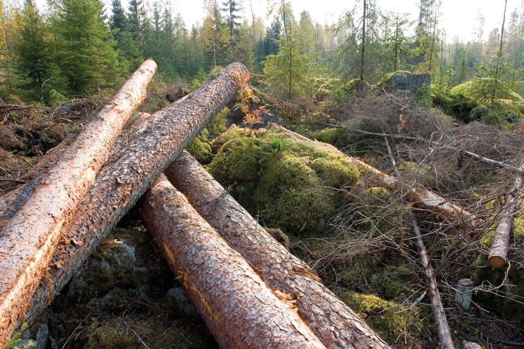 Av de ovannämnda indikatorerna beskriver skogsbranschens värdeökning och omsättning allmänt branschens tillväxt och hur konkurrenskraftig branschens verksamhetsmiljö är.