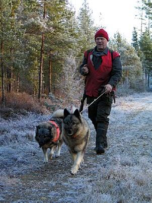 Publikationer av Jordoch skogsbruksministeriet 6a/2015 1/2015 Maa- ja metsätalousministeriön tilusjärjestelystrategia 2015 2020 ISBN