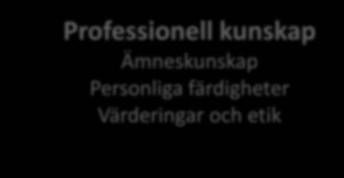 Alla har två jobb Professionell kunskap